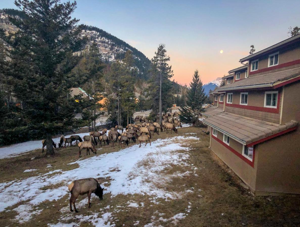 Hi Alpine Centre - Auberge de jeunesse *
